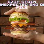 gzip stdin unexpected end of file